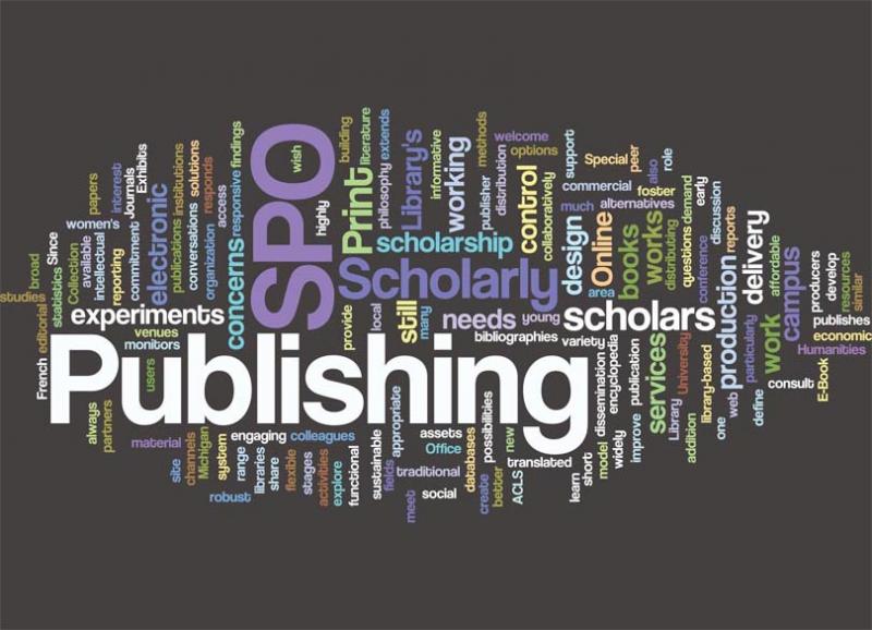 Journal Co-Publication